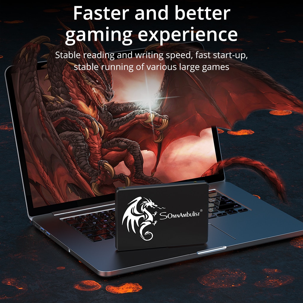 SomnAmbulist SSD 120GB 240GB 4 - Ssd 500Gb 리뷰 및 가격