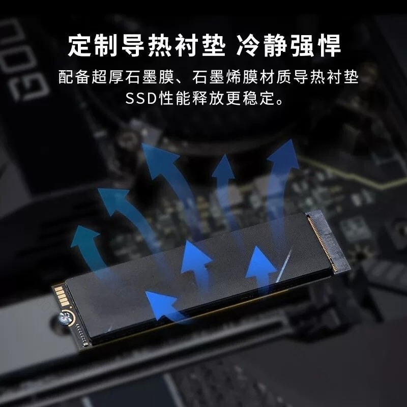 에이서 프레데터 GM7/GM7000용 M.2 NVME  - Ssd 1Tb 리뷰 및 가격